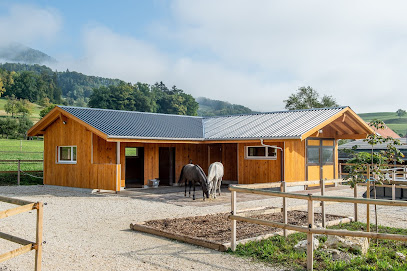 Zimmerei Holzbau Meier + Brunner AG