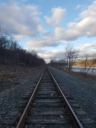 Tourist Attraction «Dinosaur Footprints», reviews and photos, US-5, Holyoke, MA 01040, USA