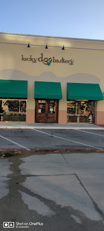 Lucky Dog Barkery - Photo 6 - Car repair in Dallas, TX, Dallas