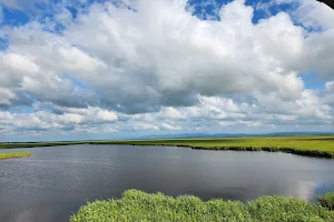 Paliastomi Lake image