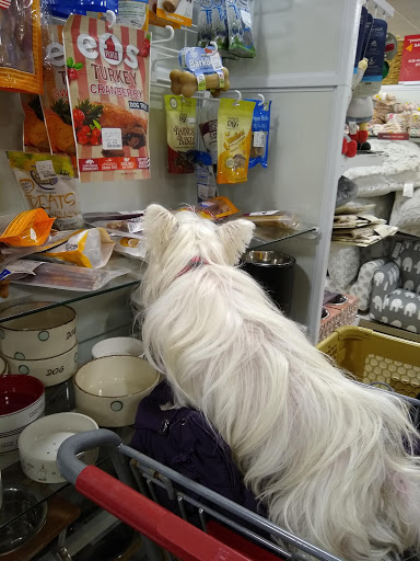 Department Store «HomeGoods», reviews and photos, 558 Seaboard St, Myrtle Beach, SC 29577, USA