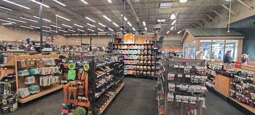 Camping Store «REI», reviews and photos, 12634 N Paradise Village Pkwy W, Phoenix, AZ 85032, USA