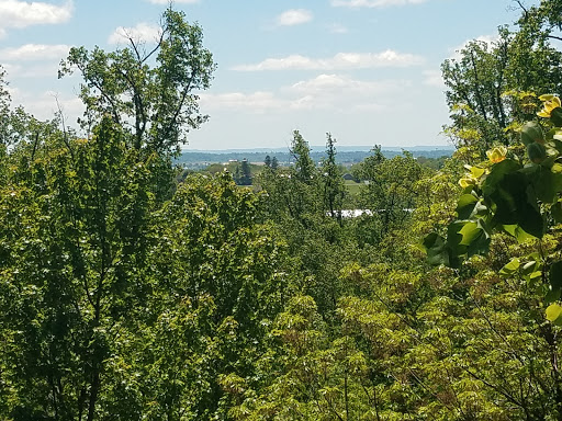 Retreat Center «Refreshing Mountain Retreat and Adventure Center», reviews and photos, 455 Camp Rd, Stevens, PA 17578, USA