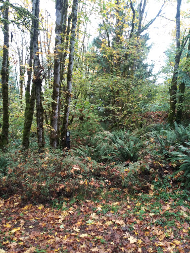 Amusement Park «Fantasy Trail Wenzel Farm», reviews and photos, 19754 S Ridge Rd, Oregon City, OR 97045, USA