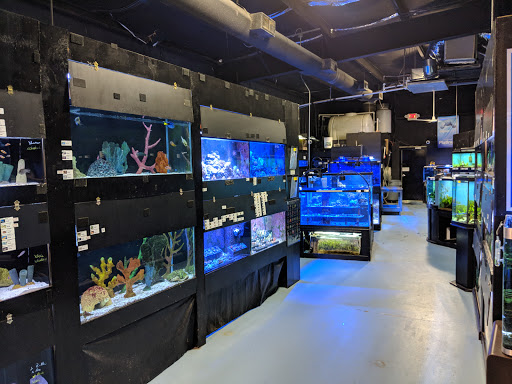 Pet Store «Aquarium», reviews and photos, 6410 Papermill Pl Way, Knoxville, TN 37919, USA