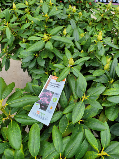 Home Improvement Store «The Home Depot», reviews and photos, 230 Oak Lee Dr, Ranson, WV 25438, USA