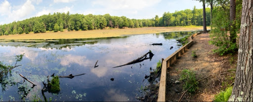 Outdoor Sports Store «Maple Hill Disc Golf», reviews and photos, 132 Marshall St, Leicester, MA 01524, USA