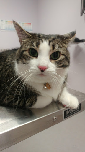 241 Hershey Rd, Harrisburg, PA 17112, USA