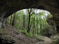 Caborne du Boeuf Saint-Hymetière-sur-Valouse