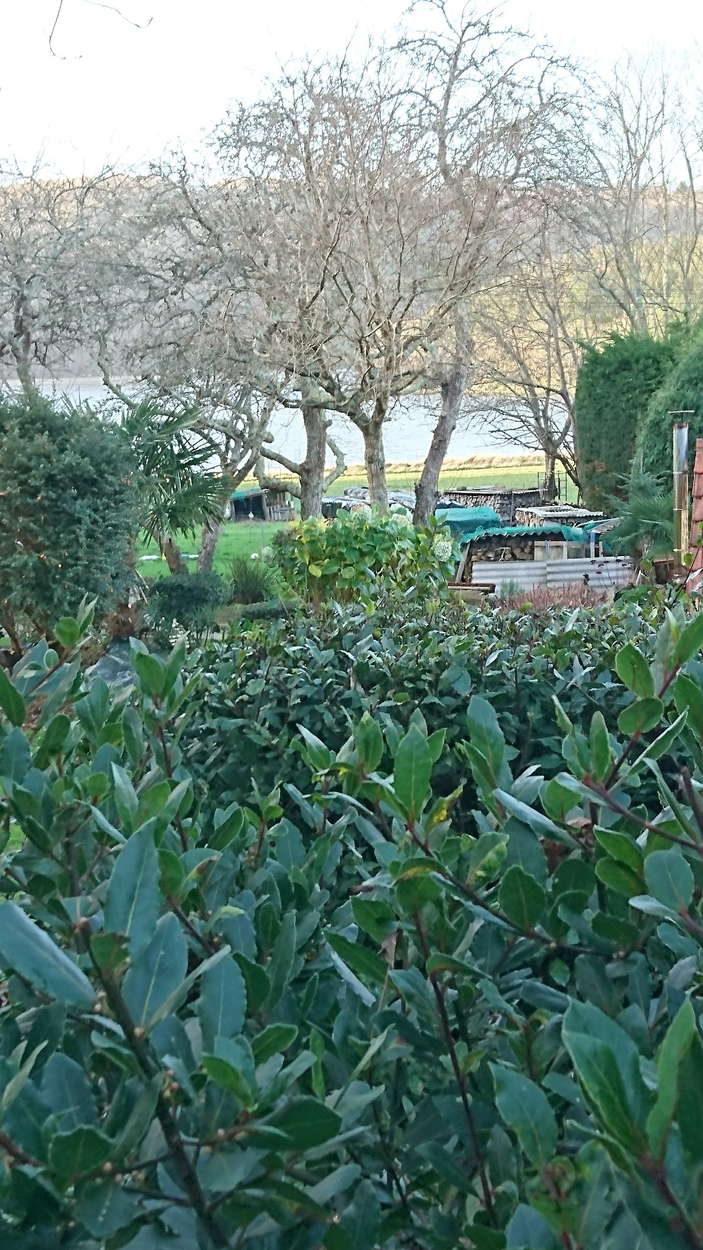 Photo n° 2 de l'avis de Martine.I fait le 05/01/2018 à 08:45