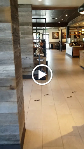 Starbucks image