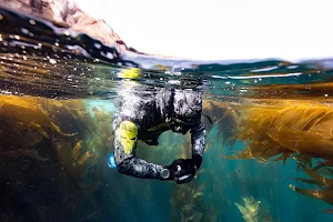 SpitSea Freediving image