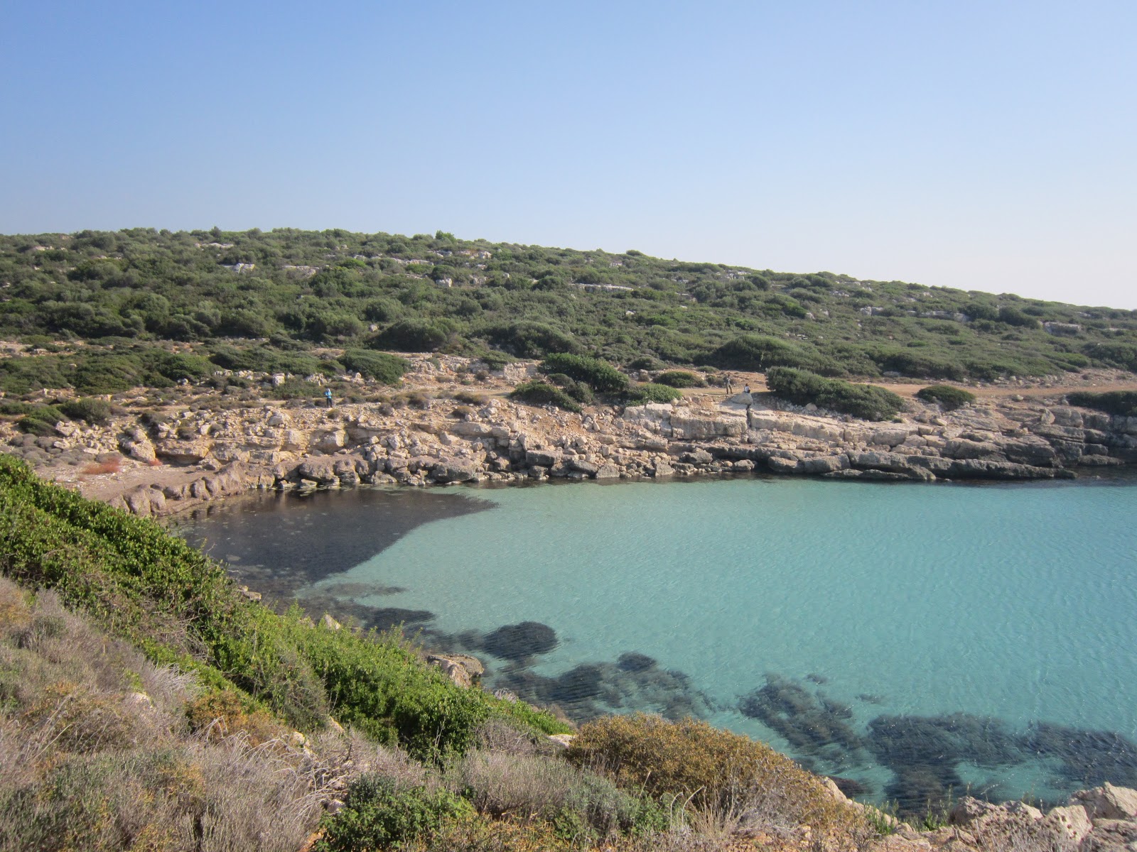 Altınköy Plajı II'in fotoğrafı küçük bir koy ile birlikte
