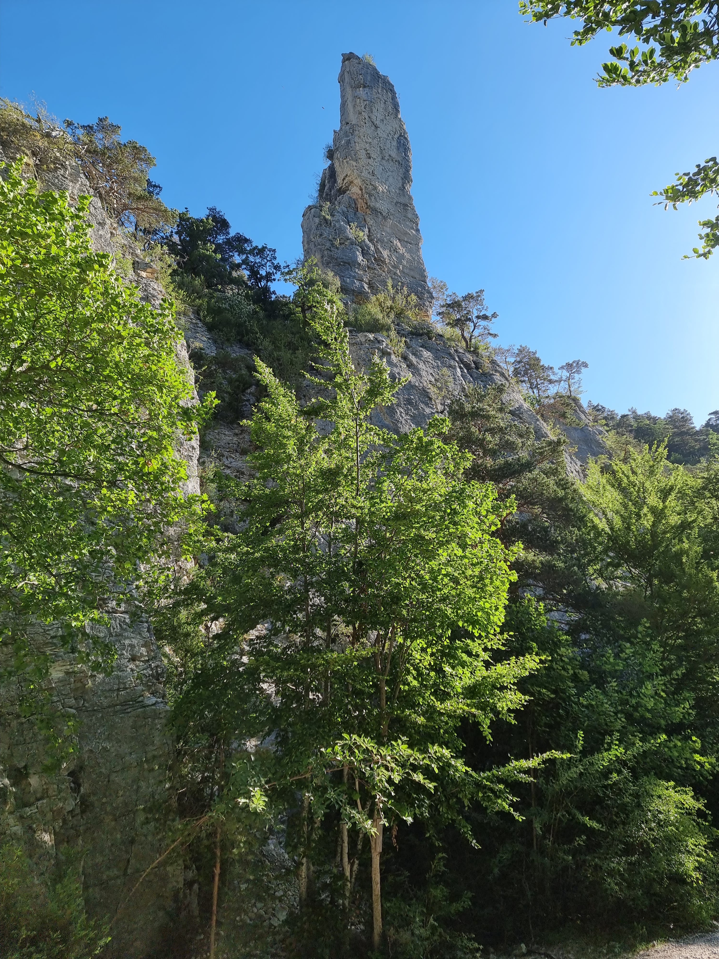 Photo n° 12 de l'avis de Viktória.i fait le 16/07/2022 à 13:58