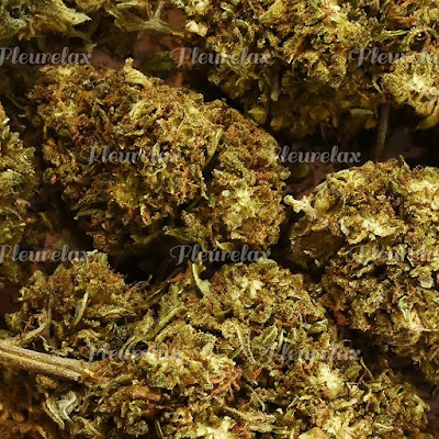 Fleurelax CBD Bédarieux à Bédarieux