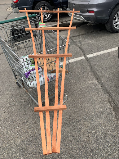 Home Improvement Store «Menards», reviews and photos, 10400 Assembly Park Dr, Wixom, MI 48393, USA