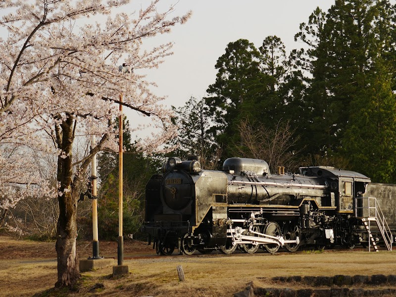 蒸気機関車D51 270号機
