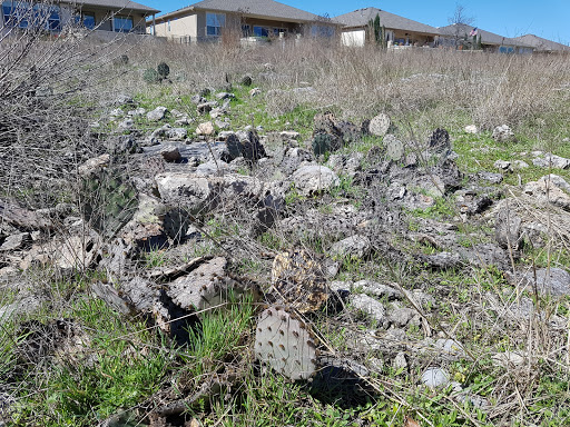 Golf Course «Cowan Creek Golf Club», reviews and photos, 1433 Cool Spring Way, Georgetown, TX 78633, USA