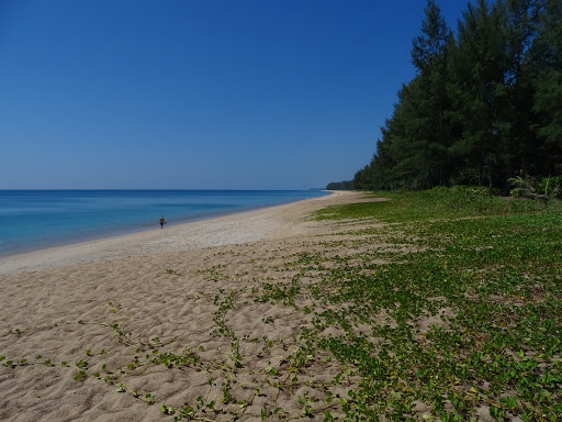 Mai Khao Beach - Airport Viewpoint