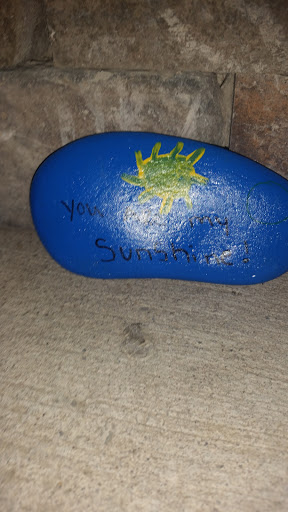 Department Store «Tops Friendly Market», reviews and photos, 5827 S Transit Rd, Lockport, NY 14094, USA