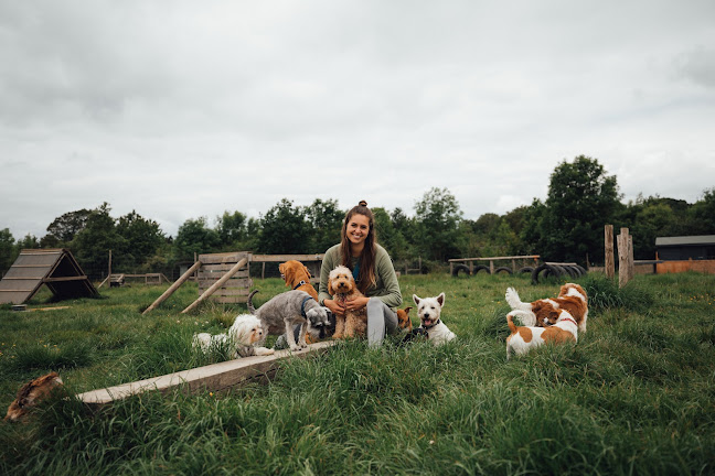 City Paws Club - London