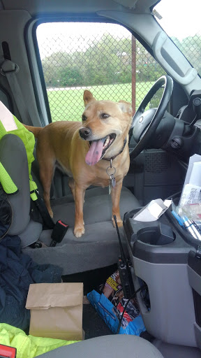 Park «ROGERS PARK», reviews and photos, 30 Rogers Park Ave, Boston, MA 02135, USA