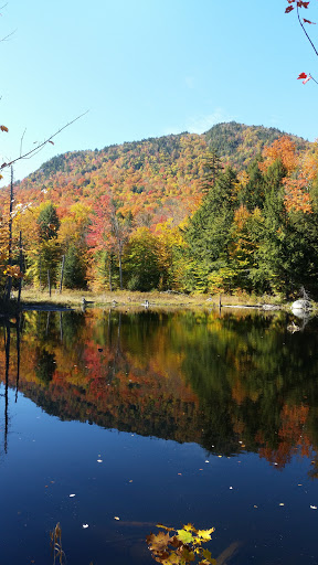 Funeral Home «Branch Funeral Home of Miller Place», reviews and photos, 551 NY-25A, Miller Place, NY 11764, USA