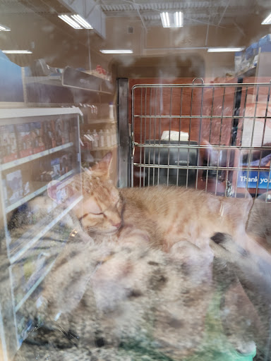 Pet Supply Store «PetSmart», reviews and photos, 207 S Truman Blvd, Crystal City, MO 63019, USA