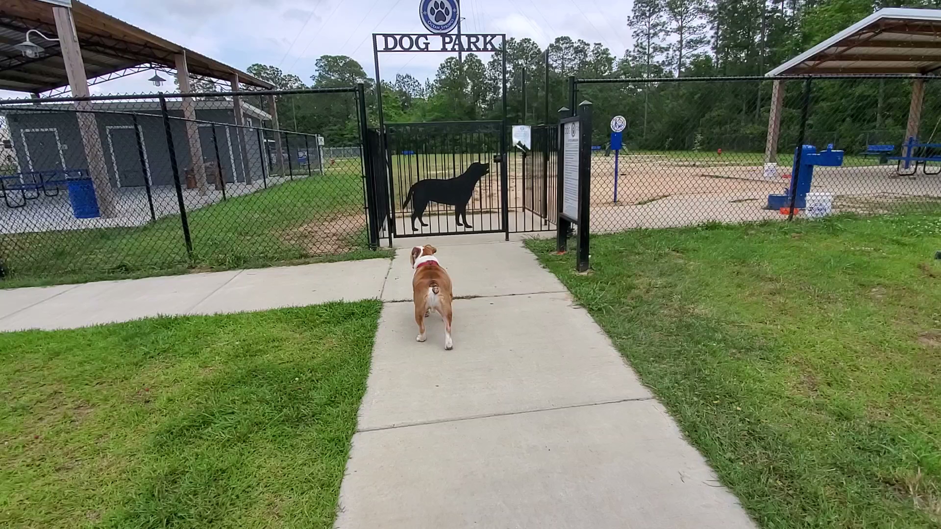 Ocean Springs Dog Park