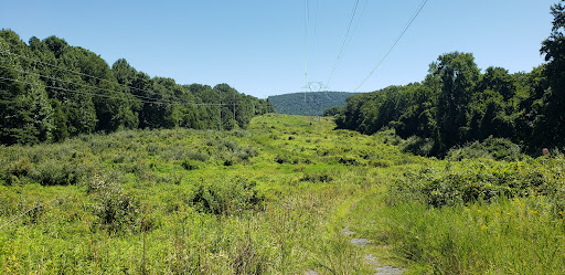 Non-Profit Organization «Blue Ridge Center For Environmental Stewardship», reviews and photos, 11661 Harpers Ferry Rd, Purcellville, VA 20132, USA