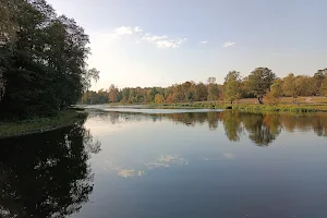 Upper Pond Park Kuzminki image