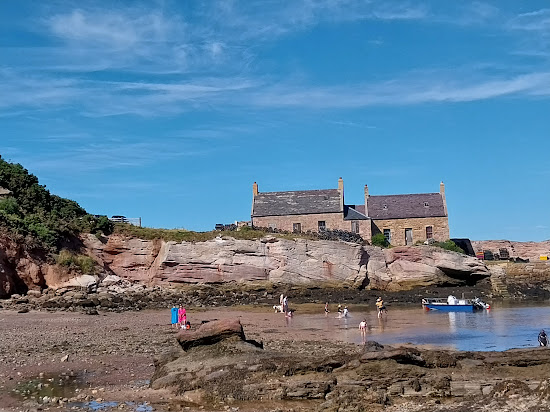 Cove Harbour