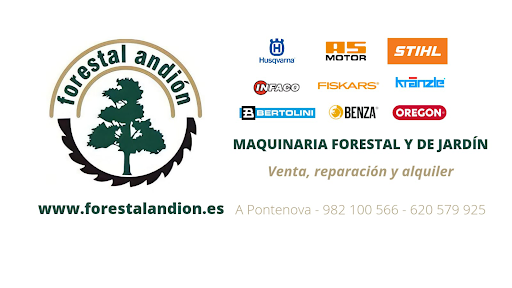 Forestal Andión en A Pontenova, Lugo