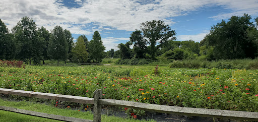 Farm «Beach Plum Farm», reviews and photos, 140 Stevens St, Cape May, NJ 08204, USA