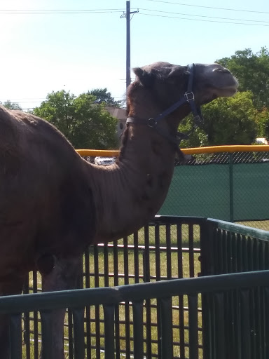 Park «Civic Center Park», reviews and photos, 24135 Hall Rd, Woodhaven, MI 48183, USA