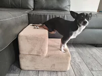 Sunrise Mobile Veterinary Services - Car repair in , Peoria - Rated 5.0/5