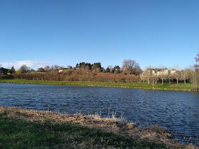 Etang de Bellenaves à Bellenaves