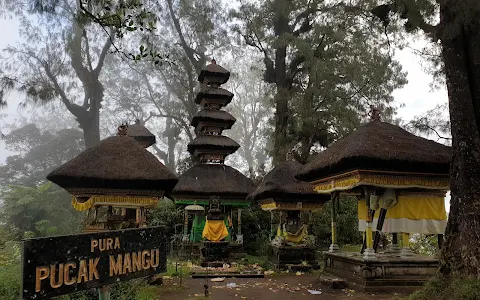 Pura Puncak Mangu image