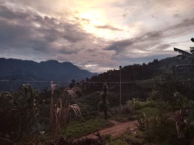 Nakauli Dhara
