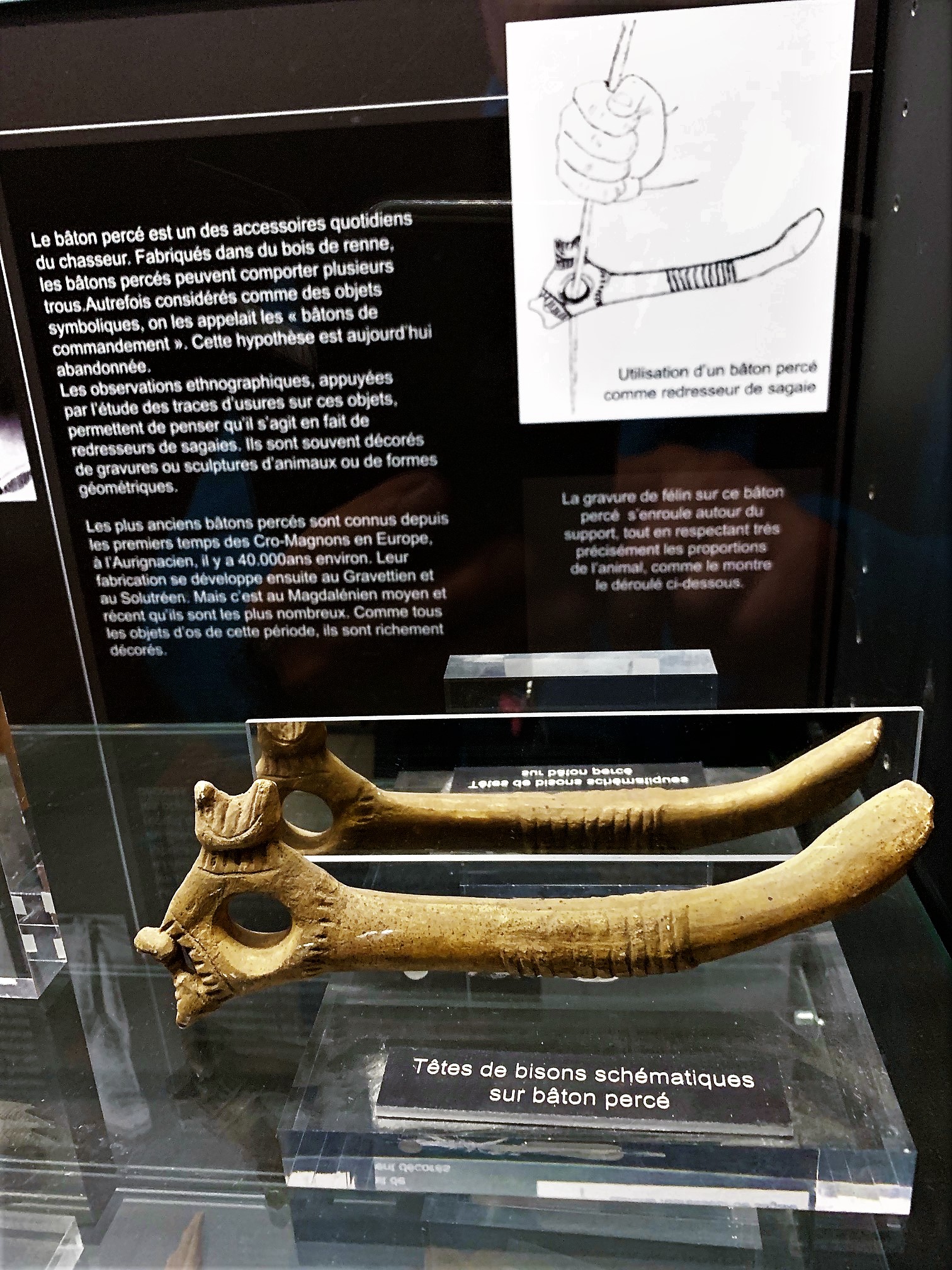 Photo n° 8 de l'avis de Paul.� fait le 14/06/2019 à 12:48