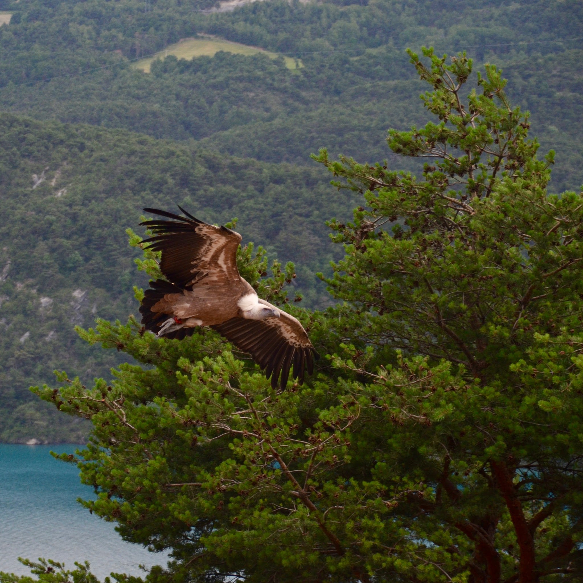 Photo n° 2 de l'avis de Sébastien.i fait le 24/06/2017 à 20:20