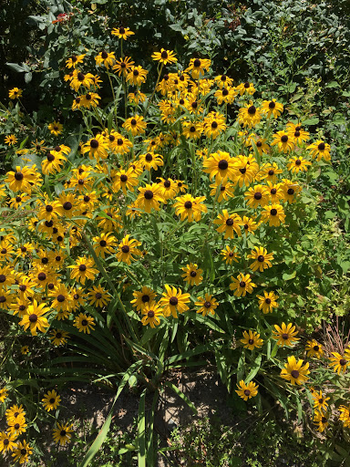 National Park «Hamilton Grange National Memorial», reviews and photos, 414 W 141st St, New York, NY 10031, USA