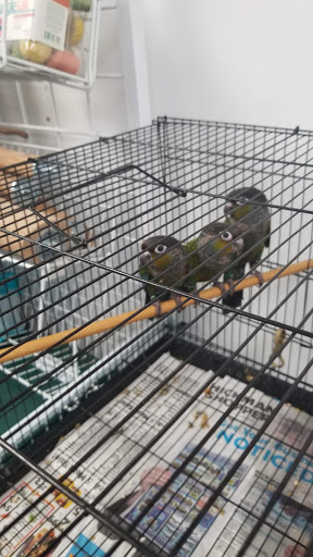 Pet Store «Adventure Birds of Bon Aqua», reviews and photos, 9600 TN-46, Bon Aqua, TN 37025, USA