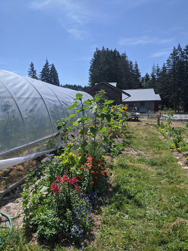 Social Services Organization «Good Cheer Food Bank & Thrift», reviews and photos, 2812 Grimm Rd, Langley, WA 98260, USA