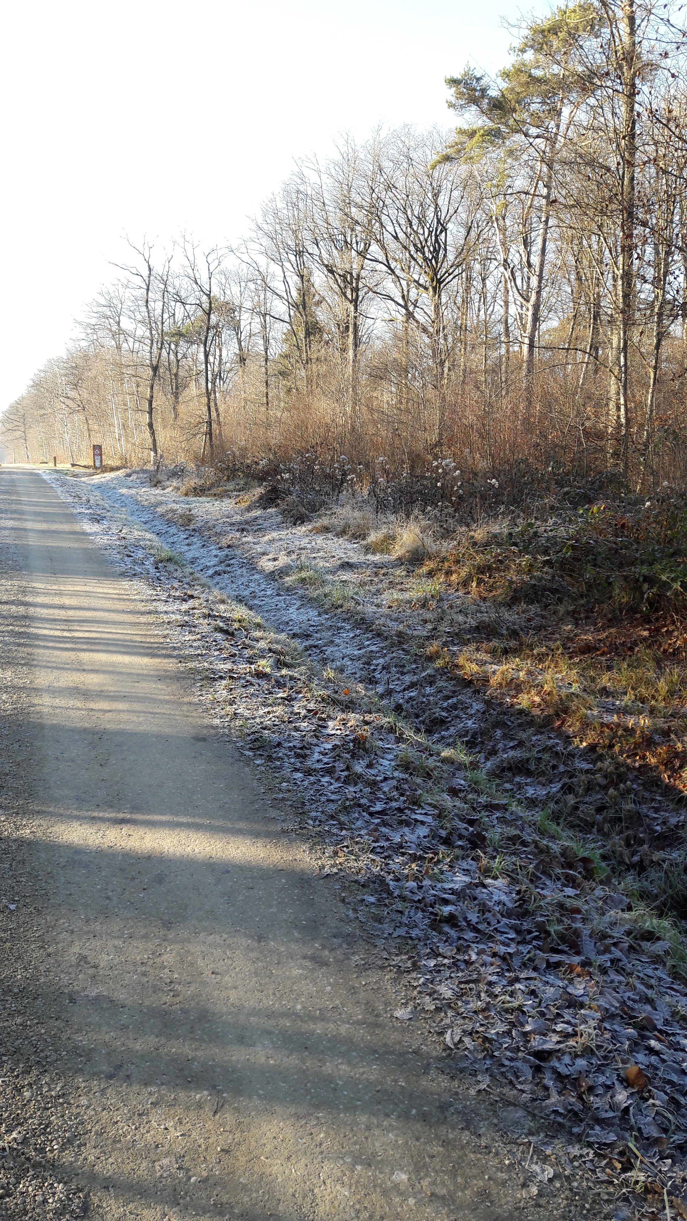 Photo n° 2 de l'avis de dany.a fait le 05/04/2017 à 08:56