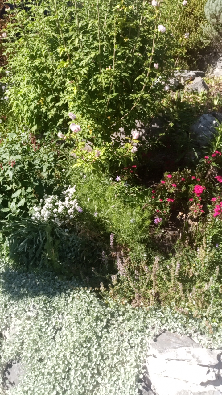 Photo n° 15 de l'avis de Guillaume.e fait le 13/10/2021 à 10:37