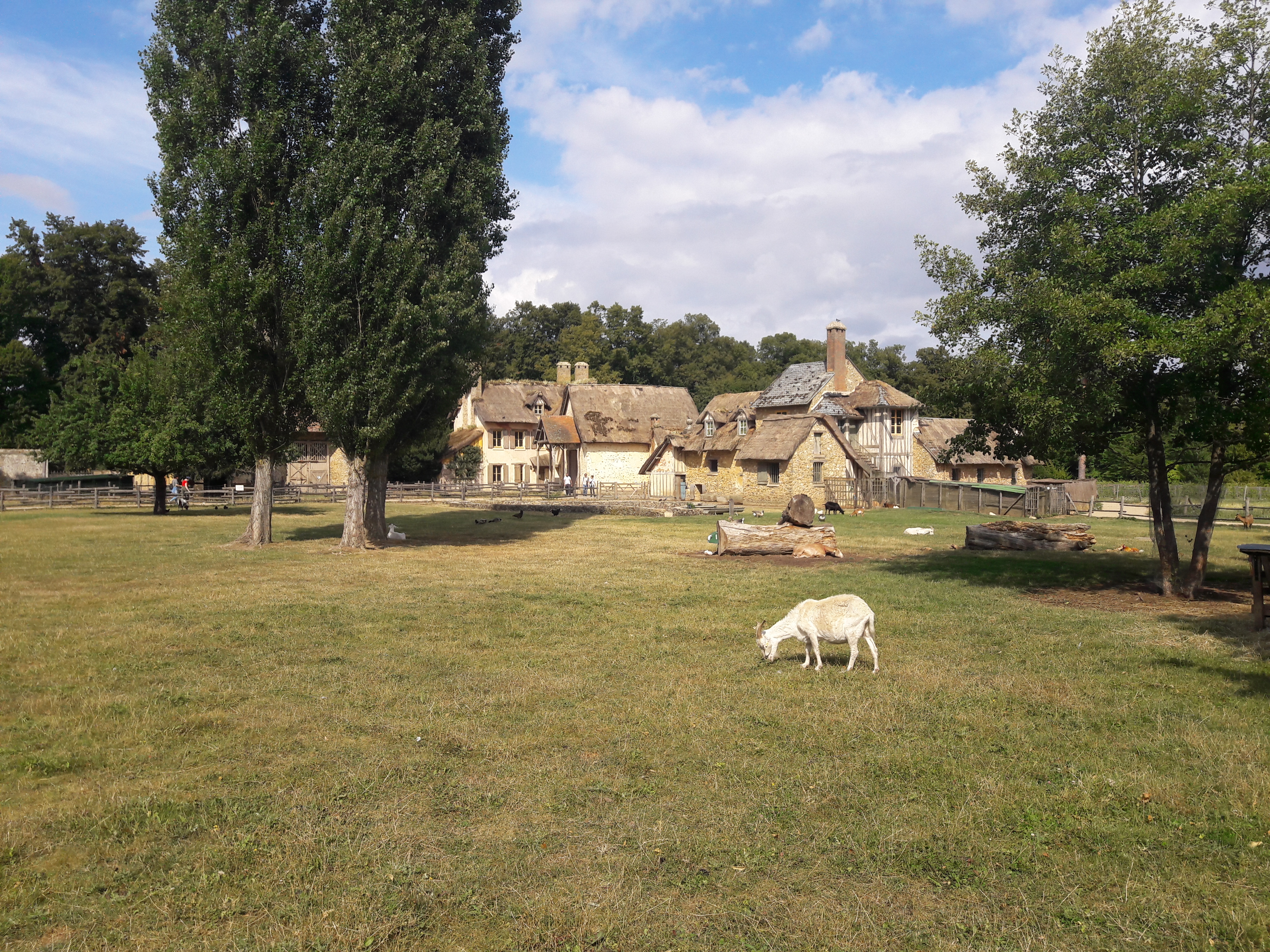 Photo n° 7 de l'avis de Emmanuelle.h fait le 27/07/2019 à 17:32