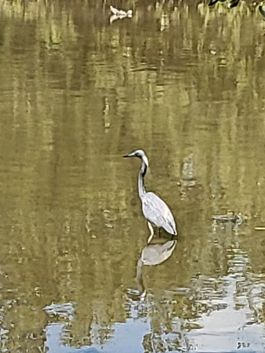 Aquarium «Florida Keys Aquarium Encounters», reviews and photos, 11710 Overseas Hwy, Marathon, FL 33050, USA