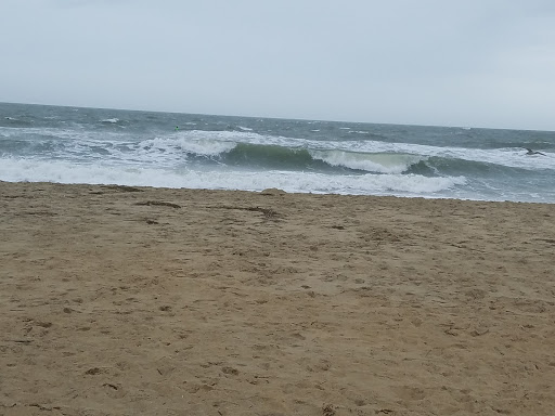 Surf Shop «Pungo Boardhouse», reviews and photos, 1789 Princess Anne Rd, Virginia Beach, VA 23456, USA