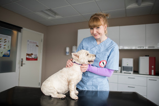 Dyreværnets Dyreklinik in Rødovre, Rødovre